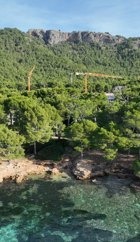 Grúas torre en una obra entre pinos junto a la costa de Menorca Grúas torre en una obra entre pinos junto a la costa de Menorca