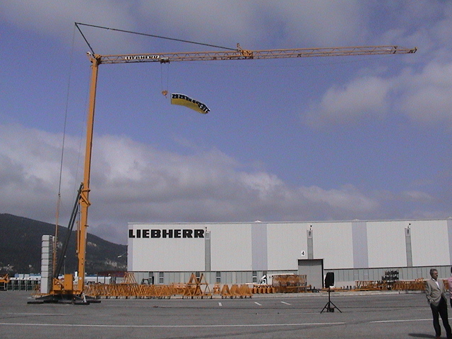 grua autoplegable